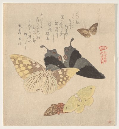 Il manuale di pittura del gregge di farfalle (Guncho? Gafu) da Kubo Shunman