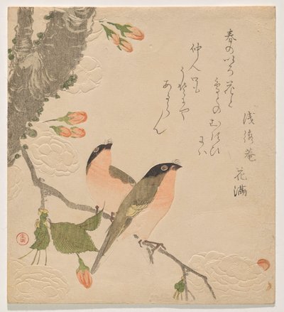 Due fringuelli su un ciliegio a doppio petalo (Uso ni Yae-zakura) da Kubo Shunman
