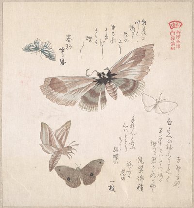  da Kubo Shunman