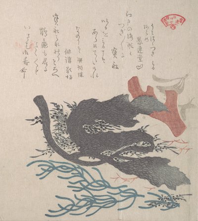 Varie alghe da Kubo Shunman