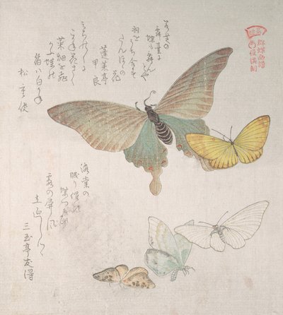 Varie falene e farfalle, XIX secolo da Kubo Shunman