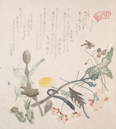 Violette, primule e altri fiori primaverili, XIX secolo da Kubo Shunman