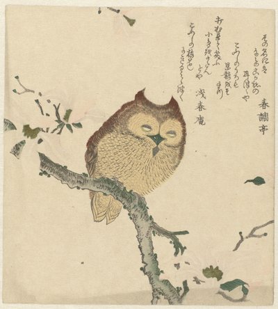 Gufo su un ramo di magnolia da Kubota Shunman