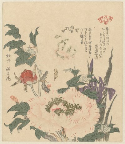 Peonie e iris da Kubota Shunman