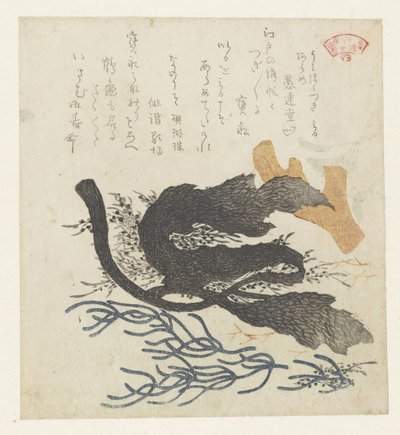 Alghe da Kubota Shunman