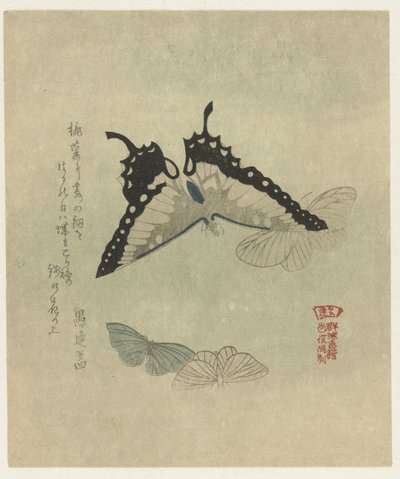 Quattro farfalle da Kubota Shunman
