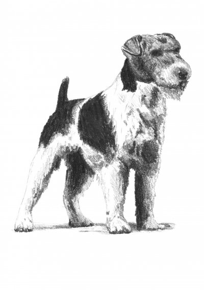  da Kulik