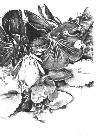  da Kulik