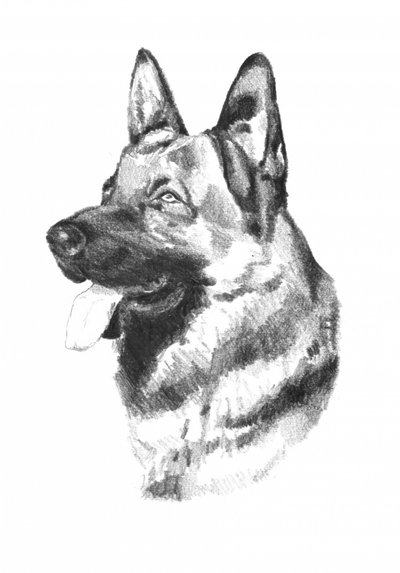  da Kulik