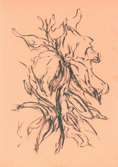  da Kulik