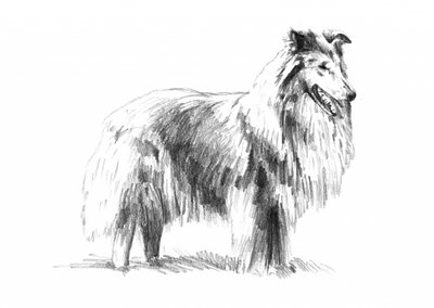  da Kulik
