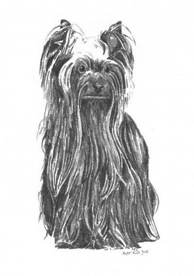 da Kulik