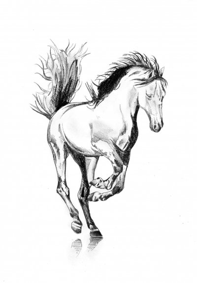  da Kulik