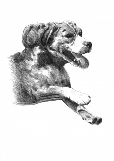  da Kulik