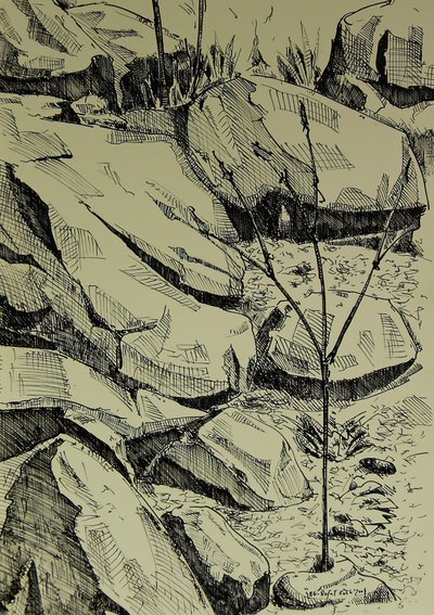  da Kulik