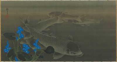 Carpa, periodo Edo, inizio XIX secolo da Kuroda Toko