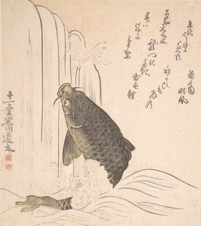 Carpa che cerca di nuotare su una cascata, probabilmente 1820 da Kurokawa Michita