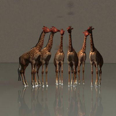 Giraffe in armonia da Kurt Heppke