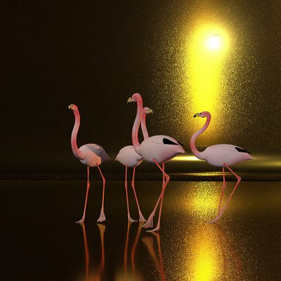 In piedi sulla pianura di notte da Kurt Heppke
