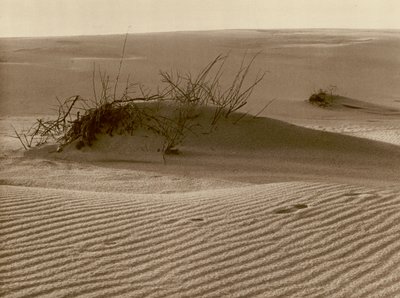 Wanderdune auf der Kurischen Nehrung nordlich von Rossitten da Kurt Hielscher