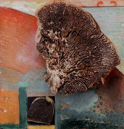 Senza titolo (Merzbild con corallo) da Kurt Schwitters