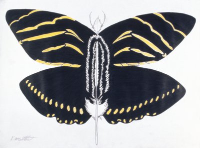 Feathered Butterfly, 2004 (matita colorata su carta) da Kurtis L. Miller