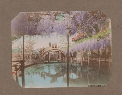 Persone su un ponte, con glicine in fiore in primo piano, a Kameido, Tokyo, Giappone da Kusakabe Kimbei