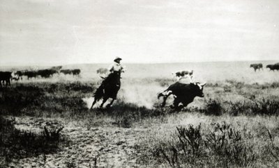 Cowboy a cavallo che lancia un lazo a un vitello da L.A. Huffman