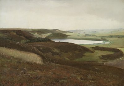 Un paesaggio vicino a Bryrup, Jutland da Laurits Andersen Ring