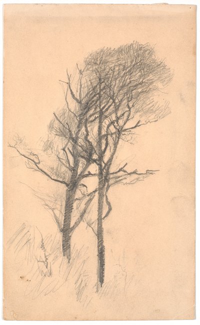 Due alberi con sottobosco basso da Laurits Andersen Ring