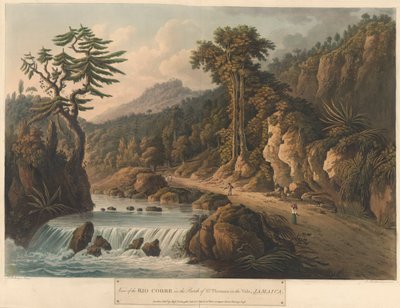 Il Rio Cobre, da 