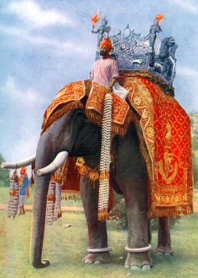 Un maestoso elefante alla principale festa del Bengala, India, 1922 da L Barber