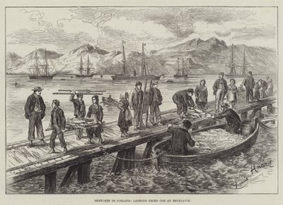 Schizzi in Islanda, sbarco di merluzzo essiccato a Reykjavik da L. Huard