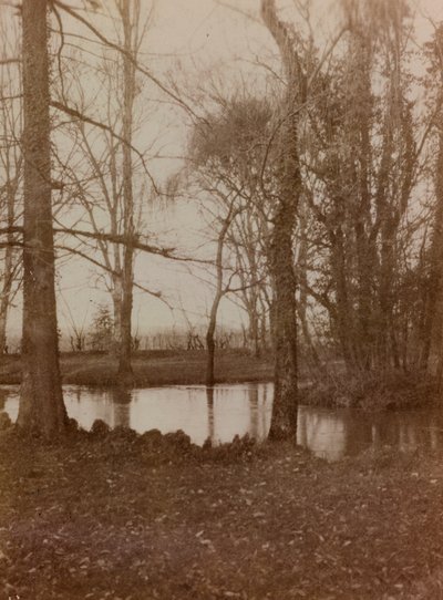 Album della Prima Guerra Mondiale in Friuli-Venezia Giulia: lo stagno nel parco di Villa Brazza, Ospedale di guerra n. 17, Soleschiano Manzano da L. Verdiani