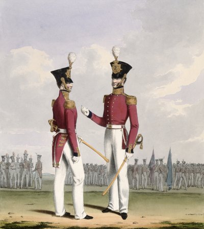 Ufficiali di campo dei Royal Marines, tavola 2 da 