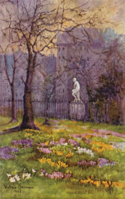 Crocus in primavera precoce, St James