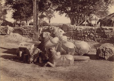 Tori o nadias con intagli ornamentali Vista laterale, Warangal, Hyderabad, Deccan da Lala Deen Dayal