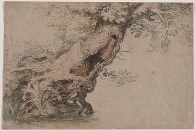 Albero cavo, dopo Roelant Savery da Lambert Doomer