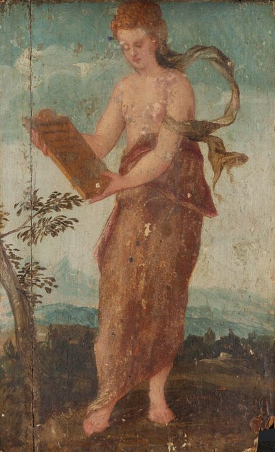Donna con Pannello di Testo da Lambert Sustris (circle of)