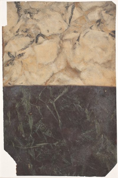 Bozza per due diversi tipi di marmorizzazione, uno nero-blu e uno dorato-bianco da Lambert van Haven