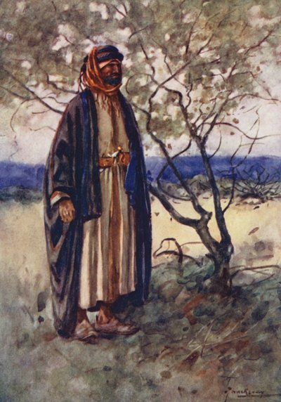 Popoli dell