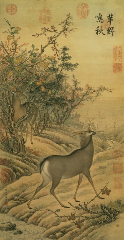 Pianti d