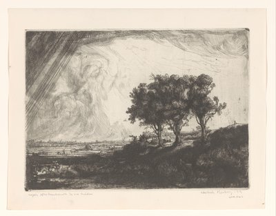 I tre alberi da Lars Erik Husberg