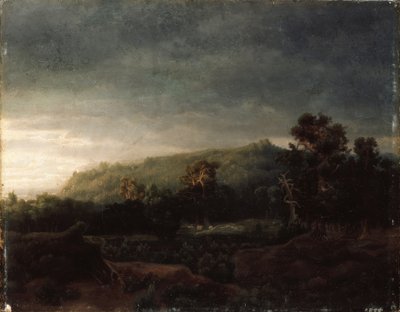 Una foresta da Lars Hertervig