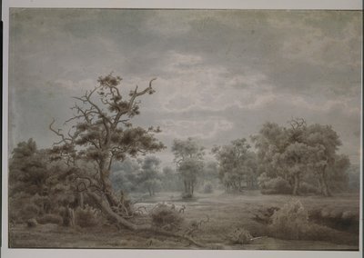 Paesaggio forestale da Düsseldorf da Lars Hertervig