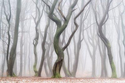  da Lars van de Goor †