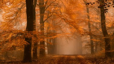  da Lars van de Goor †