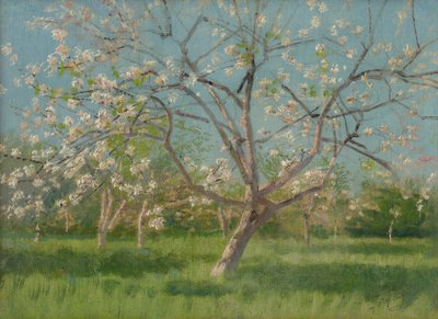 Alberi da frutto in fiore, 1900-10 da Laszlo Mednyanszky