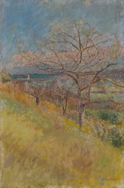 Valle con alberi in fiore, 1890-1900 da Laszlo Mednyanszky