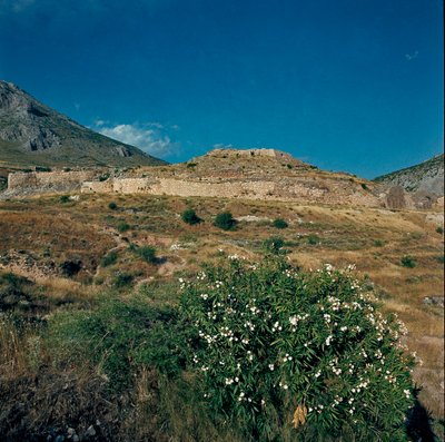 Veduta del sito dell